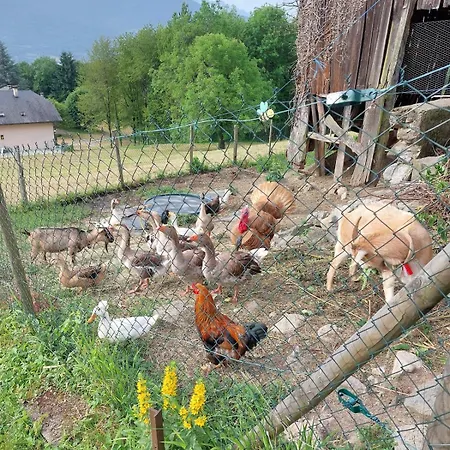 La Ferme D'emma * Clery